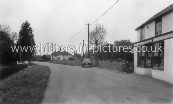 Plough Inn and Stoes, Peldon, Essex. c.1950's